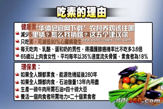 ‘华体会官网下载’农村养鸡该往哪里销？怎么找销路？这五个建议