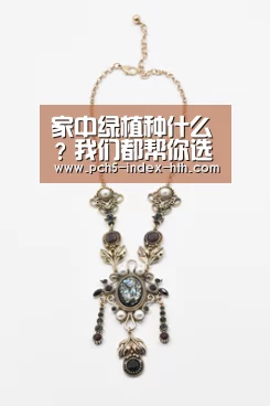 家中绿植种什么?我们都帮你选好了【华体会官方网站入口】(图1) 华体会官方平台