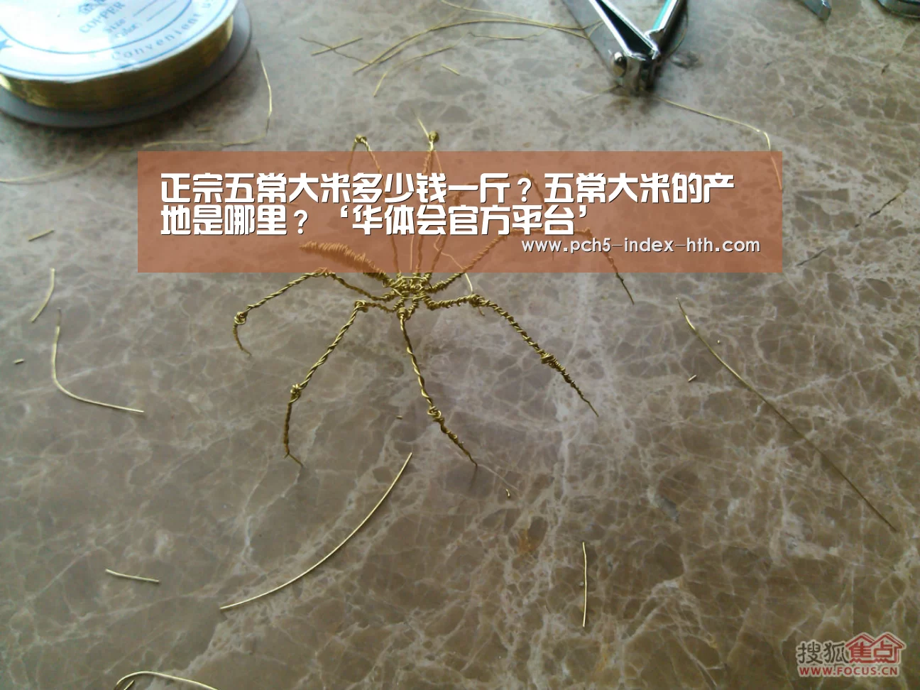正宗五常大米多少钱一斤?五常大米的产地是哪里?‘华体会官方平台’(图2) 华体会官网下载