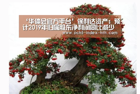 ‘华体会官方平台’保利达资产:预计2019年归属股东净利润同比减少不多于60%(图1) 华体会官方网站入口