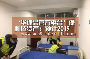 ‘华体会官方平台’保利达资产:预计2019年归属股东净利润同比减少不多于60%(图2) 华体会体育app下载